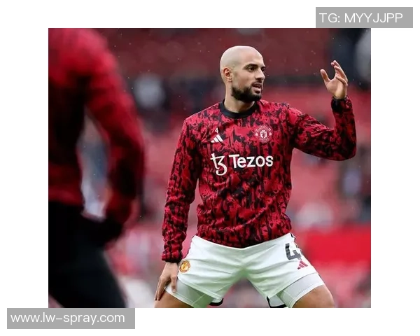 世界足球明星今年的精彩表现与未来展望全面分析