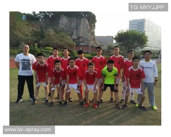 如何顺利申请足球运动员资格与相关手续指南