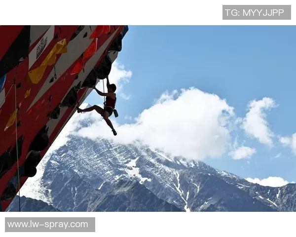 西安攀岩队在世界攀岩锦标赛中的耐力表现分析与点评