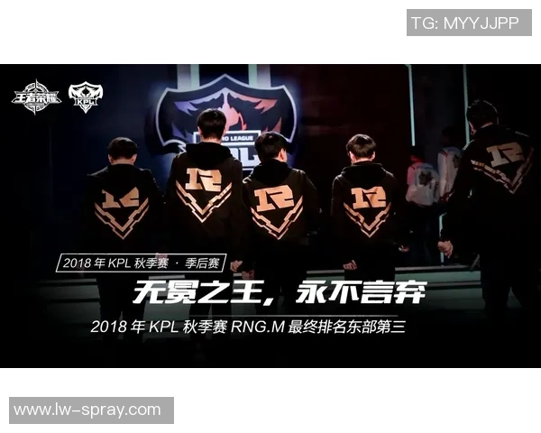 王者荣耀深度解析RNG团队协作策略与战术配合的成功之道 王者荣耀深度解析RNG团队协作策略与战术配合的成功之道