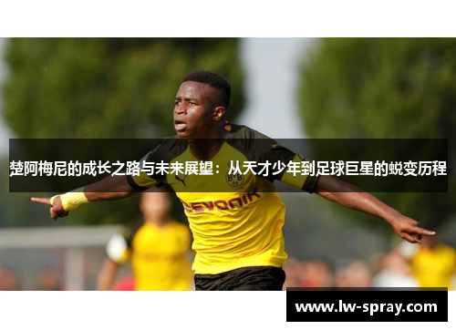 楚阿梅尼的成长之路与未来展望：从天才少年到足球巨星的蜕变历程