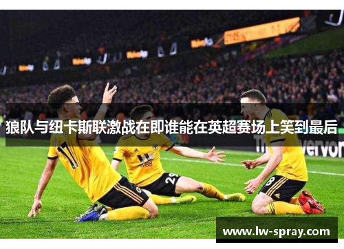 狼队与纽卡斯联激战在即谁能在英超赛场上笑到最后