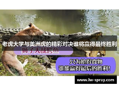 老虎大学与美洲虎的精彩对决谁将赢得最终胜利